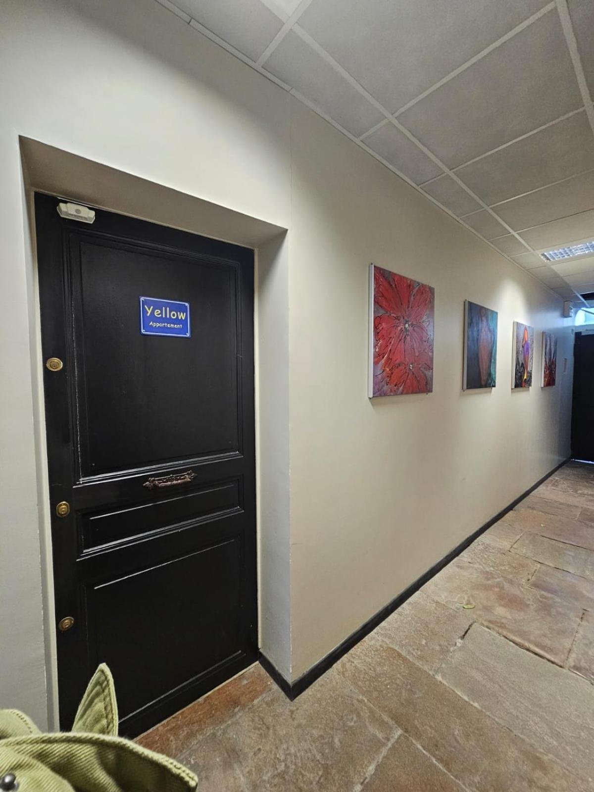 Rez De Chaussee Appartement A Tournus - Yellow Bagian luar foto